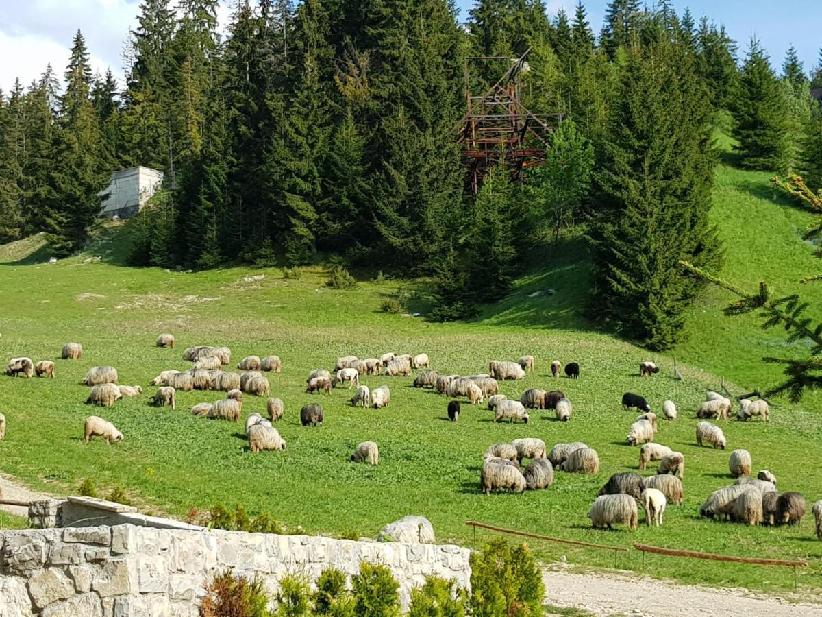 Enjoy The Silence Holiday Home Vlašić Extérieur photo